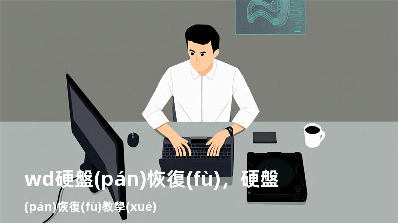 wd 硬盤(pán)恢復(fù)，硬盤(pán)恢復(fù)教學(xué)