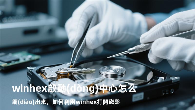 winhex啟動(dòng)中心怎么調(diào)出來，如何利用winhex打開磁盤