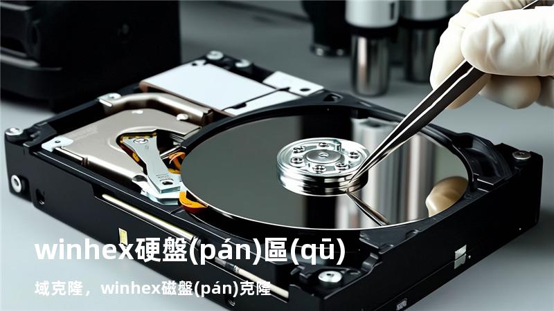 winhex硬盤(pán)區(qū)域克隆，winhex磁盤(pán)克隆
