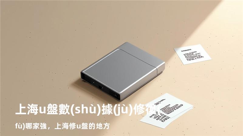 上海u盤數(shù)據(jù)修復(fù)哪家強，上海修u盤的地方