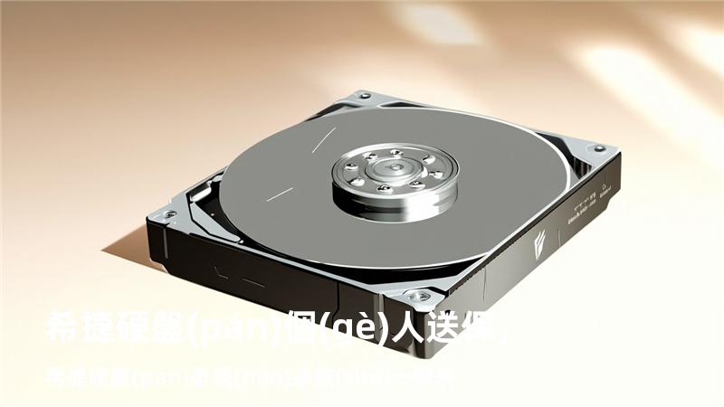 希捷硬盤(pán) 個(gè)人送保，希捷硬盤(pán)型號(hào)參數(shù)一覽表
