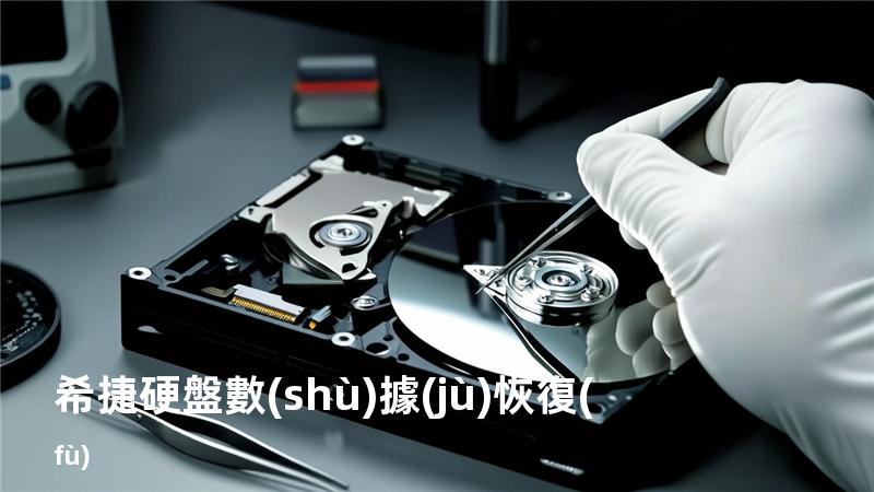 希捷硬盤數(shù)據(jù)恢復(fù)
