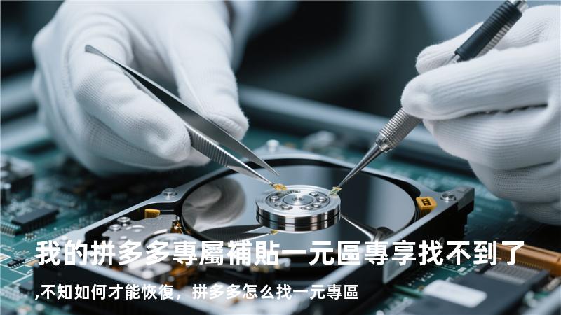 我的拼多多專屬補貼一元區專享找不到了,不知如何才能恢復，拼多多怎么找一元專區