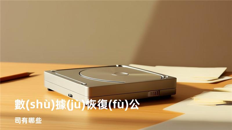 數(shù)據(jù)恢復(fù)公司有哪些