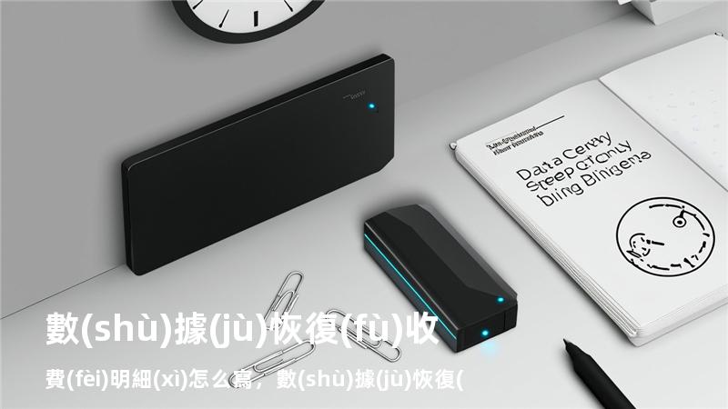 數(shù)據(jù)恢復(fù)收費(fèi)明細(xì)怎么寫，數(shù)據(jù)恢復(fù)收費(fèi)明細(xì)怎么寫范文