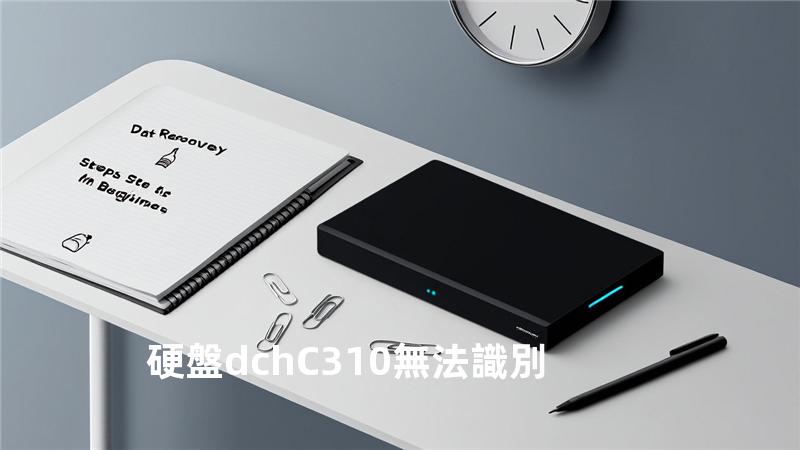 硬盤dchC310 無法識別
