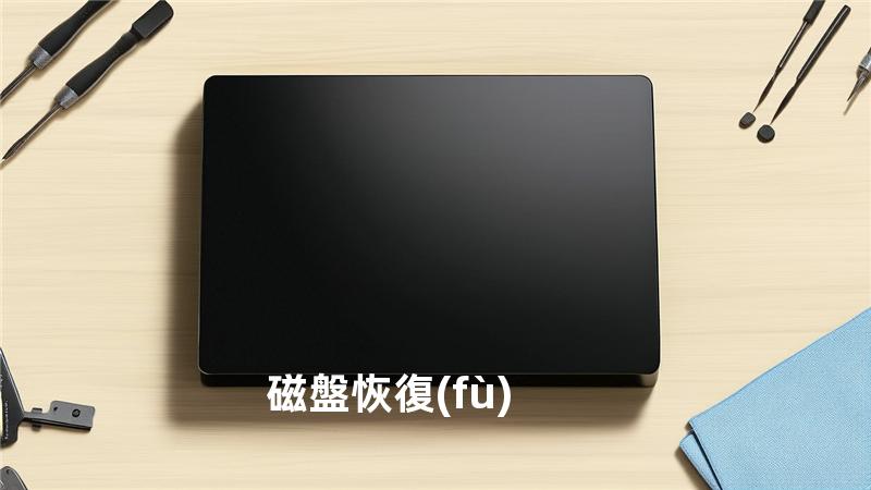 磁盤恢復(fù)
