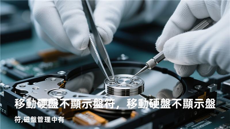 移動硬盤 不顯示盤符，移動硬盤不顯示盤符,磁盤管理中有