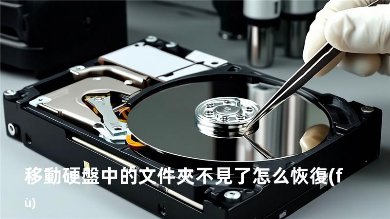 移動硬盤中的 文件夾不見了怎么恢復(fù)