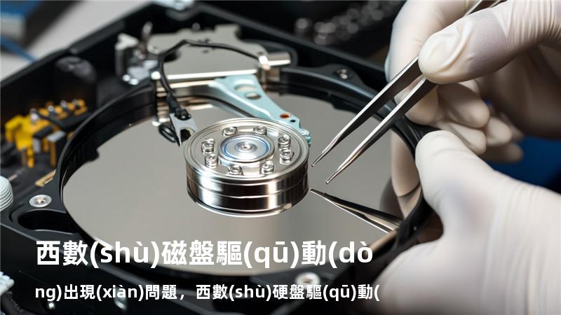 西數(shù) 磁盤驅(qū)動(dòng)出現(xiàn)問題，西數(shù)硬盤驅(qū)動(dòng)