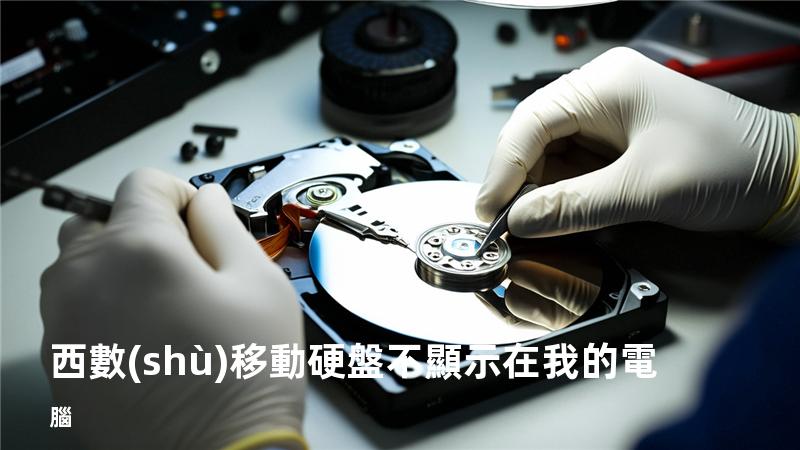 西數(shù)移動硬盤不顯示在我的電腦