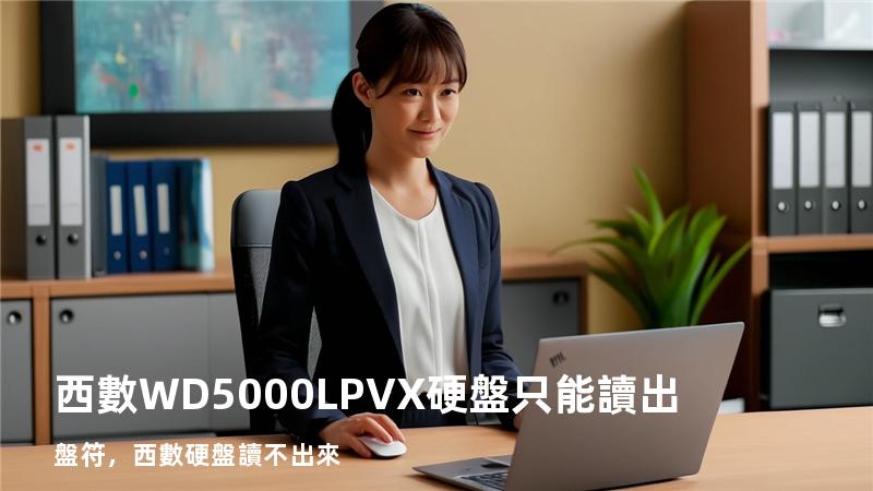 西數WD5000LPVX硬盤只能讀出盤符，西數硬盤讀不出來