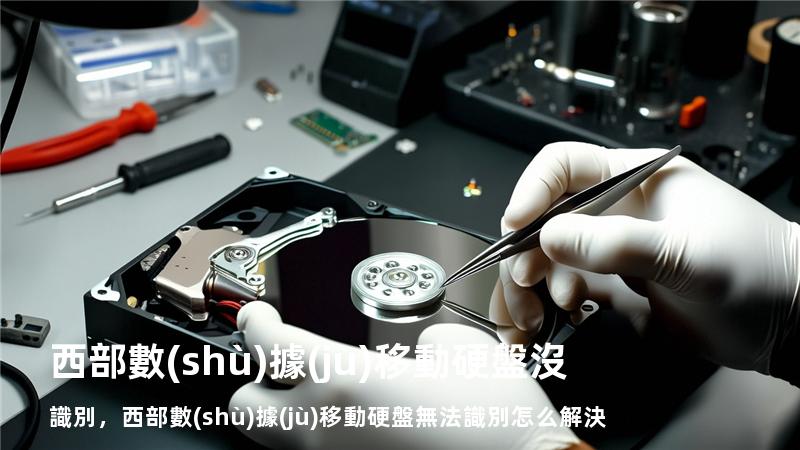 西部數(shù)據(jù)移動硬盤沒識別，西部數(shù)據(jù)移動硬盤無法識別怎么解決