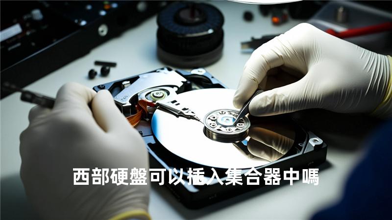 西部硬盤可以插入集合器中嗎