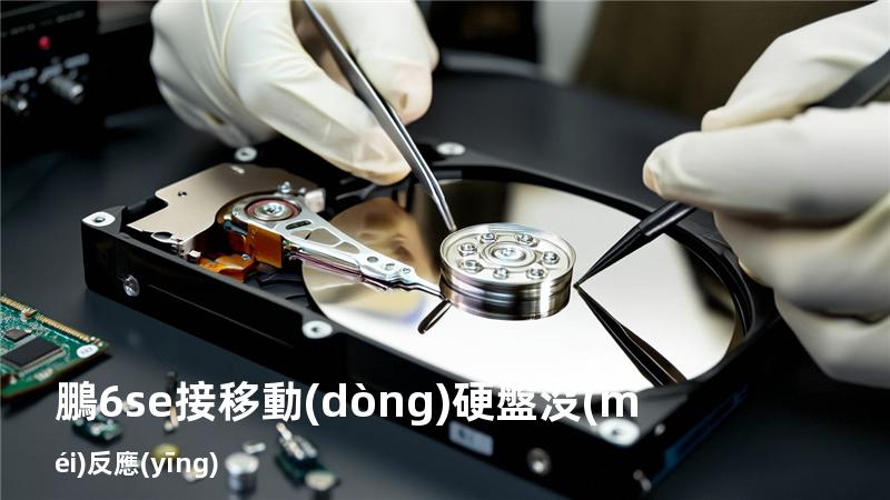 鵬6se 接移動(dòng)硬盤 沒(méi)反應(yīng)