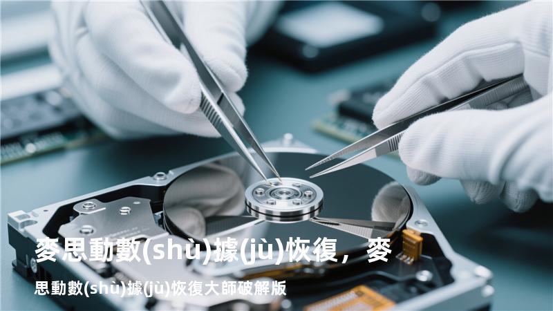 麥思動數(shù)據(jù)恢復，麥思動數(shù)據(jù)恢復大師破解版