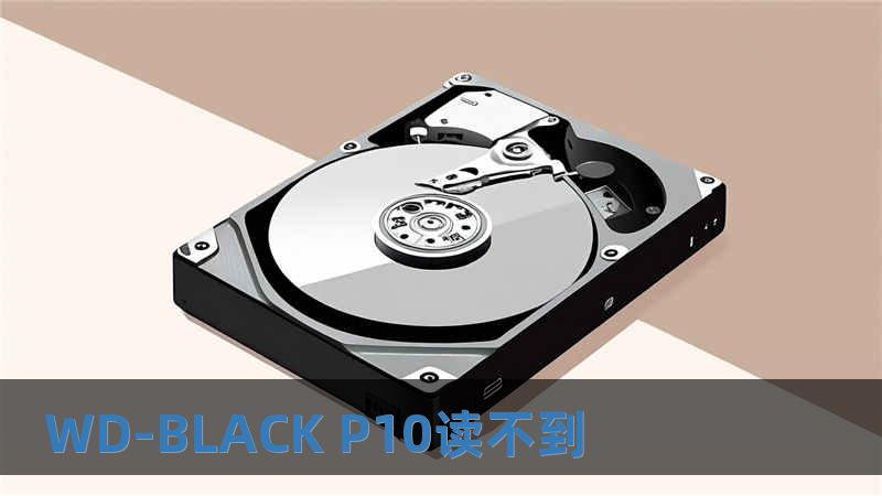 WD-BLACK P10讀不到