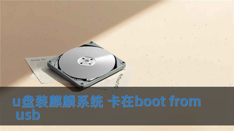 u盤裝麒麟系統(tǒng) 卡在boot from usb