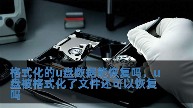格式化的u盤數據能恢復嗎，u盤被格式化了文件還可以恢復嗎