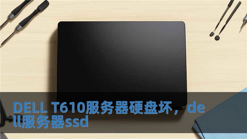 DELL T610服務器硬盤壞，dell服務器ssd
