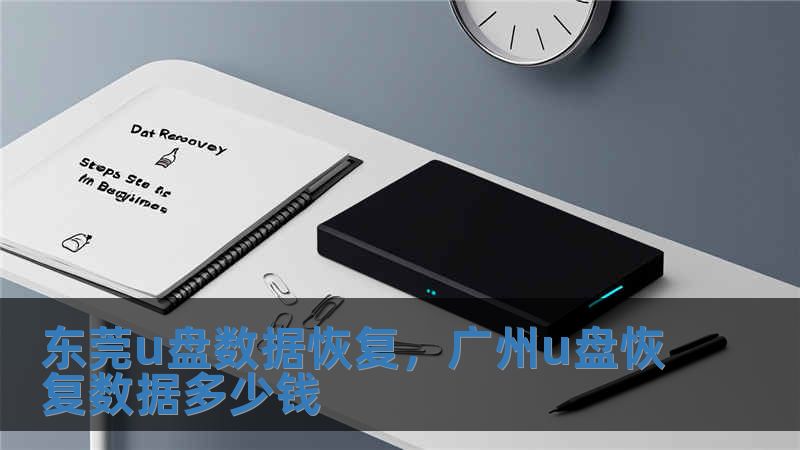 東莞u盤數(shù)據(jù)恢復，廣州u盤恢復數(shù)據(jù)多少錢