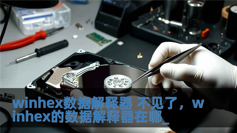 winhex數(shù)據(jù)解釋器 不見了，winhex的數(shù)據(jù)解釋器在哪_