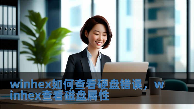 winhex如何查看硬盤錯誤，winhex查看磁盤屬性