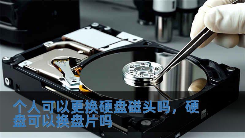個人可以更換硬盤磁頭嗎，硬盤可以換盤片嗎