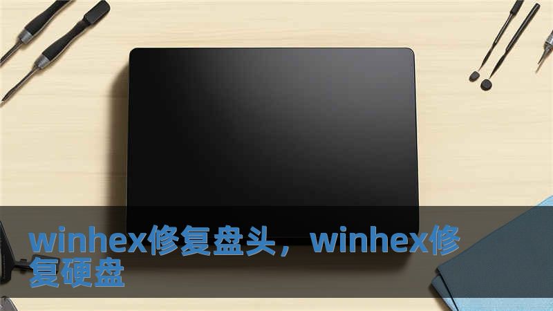 winhex修復(fù)盤頭，winhex修復(fù)硬盤
