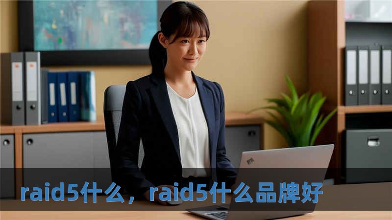 raid5什么，raid5什么品牌好