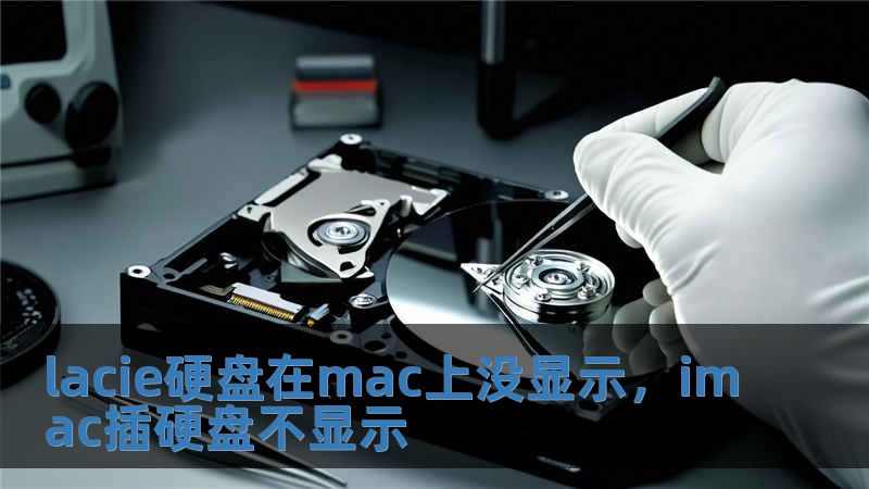 lacie硬盤在mac上沒顯示，imac插硬盤不顯示