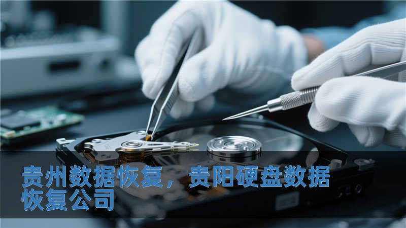 貴州數(shù)據(jù)恢復，貴陽硬盤數(shù)據(jù)恢復公司