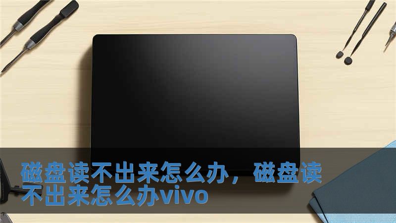 磁盤讀不出來怎么辦，磁盤讀不出來怎么辦vivo