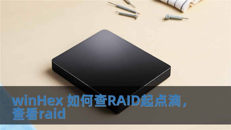 winHex 如何查RAID起點滴，查看raid