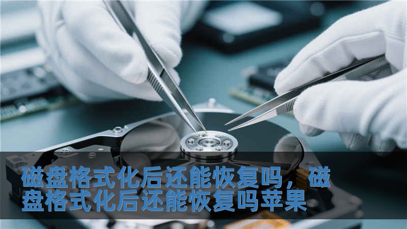 磁盤格式化后還能恢復嗎，磁盤格式化后還能恢復嗎蘋果