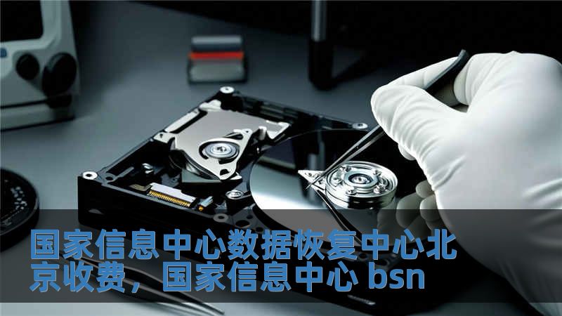 國家信息中心數據恢復中心北京收費，國家信息中心 bsn
