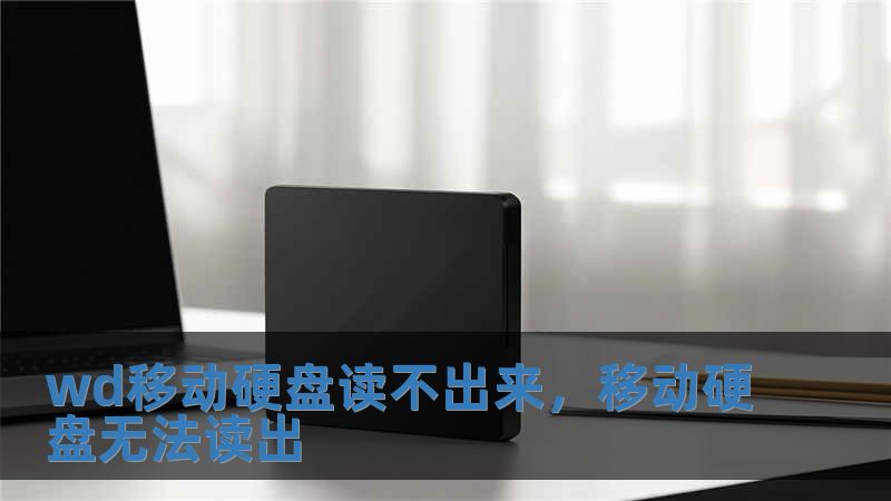 wd移動硬盤讀不出來，移動硬盤無法讀出
