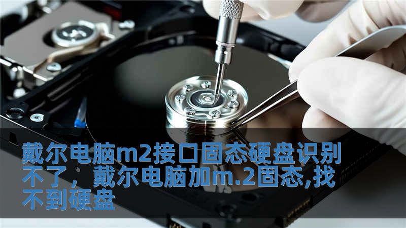戴爾電腦m2接口固態硬盤識別不了，戴爾電腦加m.2固態,找不到硬盤