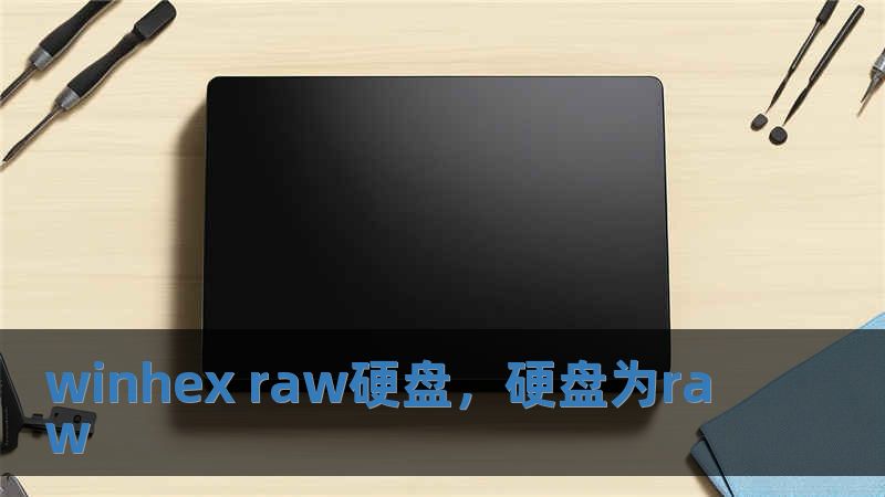 winhex raw硬盤，硬盤為raw
