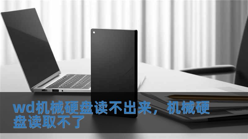 wd機械硬盤讀不出來，機械硬盤讀取不了
