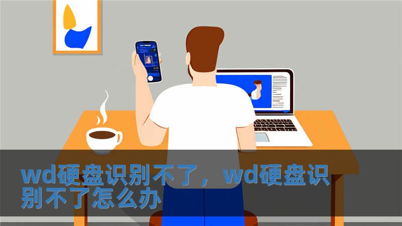 wd硬盤識別不了，wd硬盤識別不了怎么辦