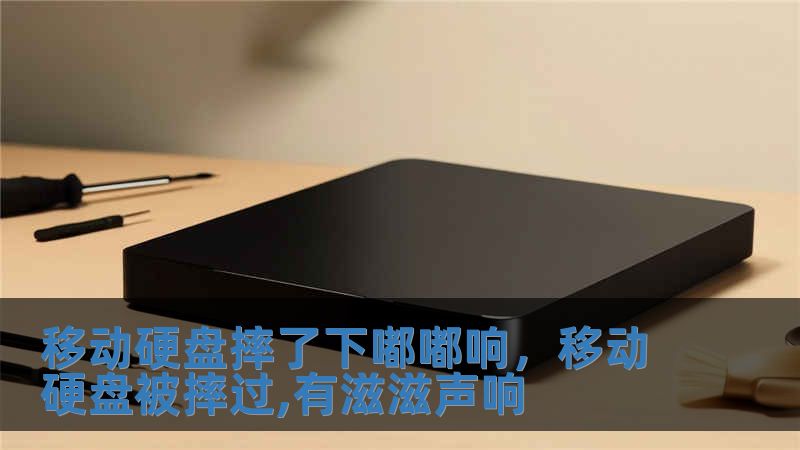 移動硬盤摔了下嘟嘟響，移動硬盤被摔過,有滋滋聲響