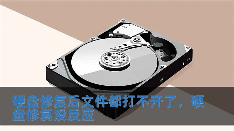 硬盤(pán)修復(fù)后文件都打不開(kāi)了，硬盤(pán)修復(fù)沒(méi)反應(yīng)