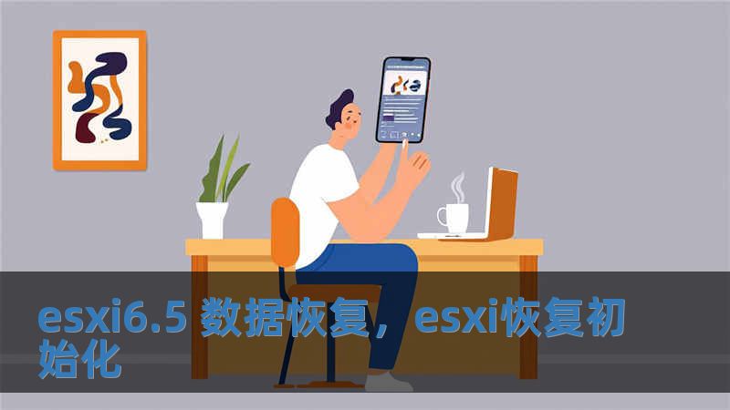 esxi6.5 數據恢復，esxi恢復初始化