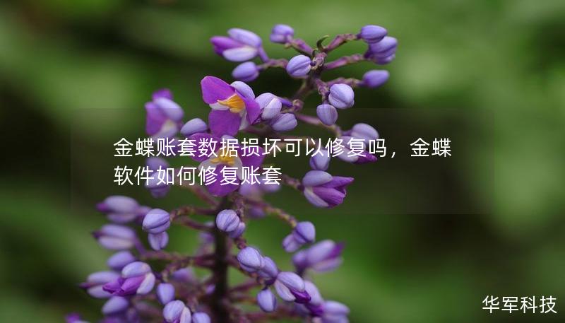 金蝶賬套數據損壞可以修復嗎，金蝶軟件如何修復賬套
