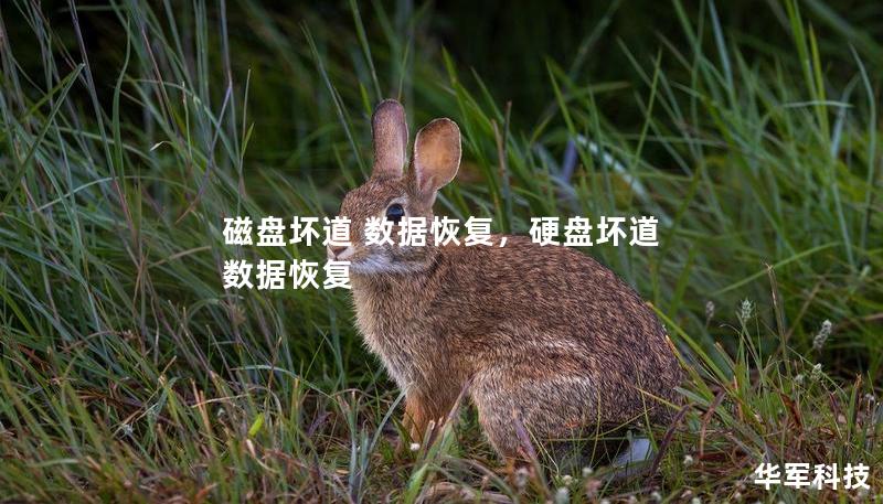 磁盤壞道 數據恢復，硬盤壞道 數據恢復