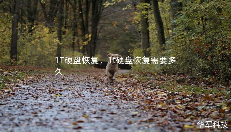 1T硬盤恢復，1t硬盤恢復需要多久