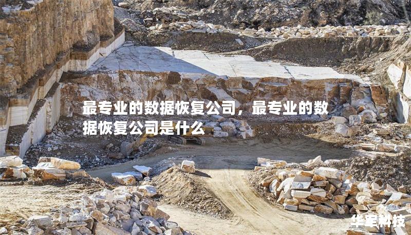 最專業(yè)的數(shù)據(jù)恢復(fù)公司，最專業(yè)的數(shù)據(jù)恢復(fù)公司是什么