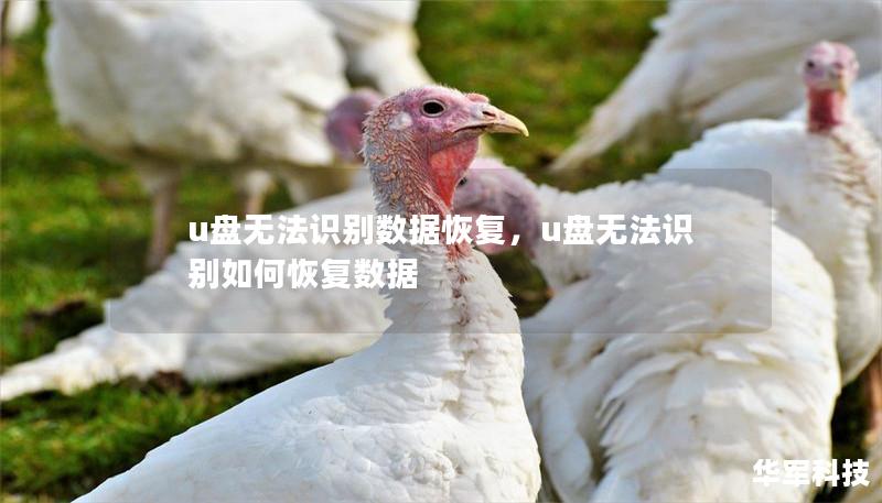 u盤無法識別數(shù)據(jù)恢復(fù)，u盤無法識別如何恢復(fù)數(shù)據(jù)