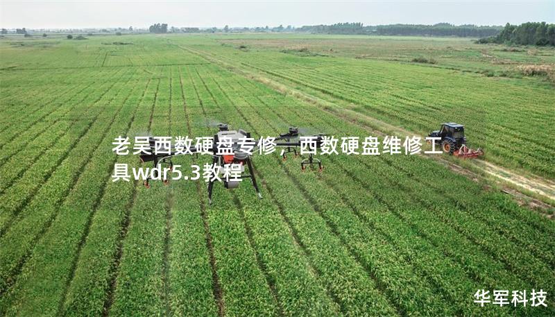 老吳西數硬盤專修，西數硬盤維修工具wdr5.3教程